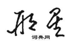 駱恆光邢星草書個性簽名怎么寫