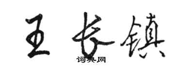 駱恆光王長鎮行書個性簽名怎么寫