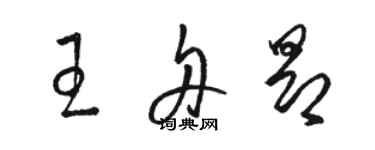 駱恆光王舟昂草書個性簽名怎么寫