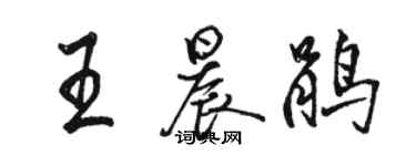 駱恆光王晨鵑行書個性簽名怎么寫