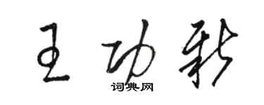 駱恆光王功新草書個性簽名怎么寫