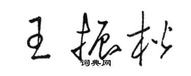 駱恆光王振楷草書個性簽名怎么寫