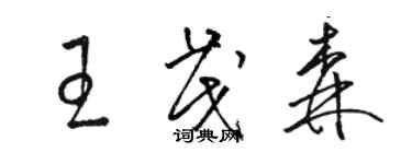 駱恆光王茂森草書個性簽名怎么寫