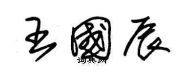 朱錫榮王國辰草書個性簽名怎么寫