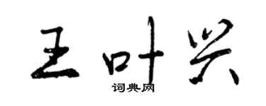 曾慶福王葉興行書個性簽名怎么寫