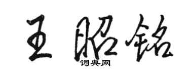 駱恆光王昭銘行書個性簽名怎么寫