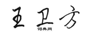 駱恆光王衛方行書個性簽名怎么寫