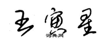 朱錫榮王寅星草書個性簽名怎么寫