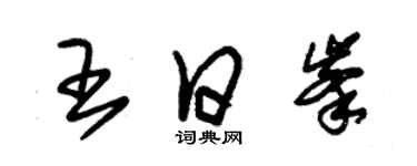 朱錫榮王日峰草書個性簽名怎么寫