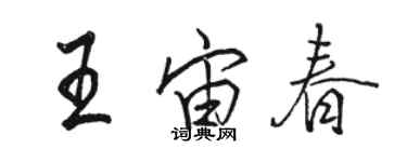 駱恆光王宙春行書個性簽名怎么寫