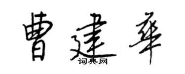 王正良曹建華行書個性簽名怎么寫