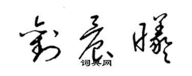 梁錦英劉晨曦草書個性簽名怎么寫