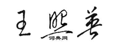 駱恆光王照英草書個性簽名怎么寫