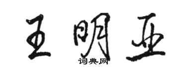 駱恆光王明亞行書個性簽名怎么寫