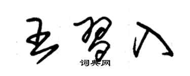 朱錫榮王習入草書個性簽名怎么寫