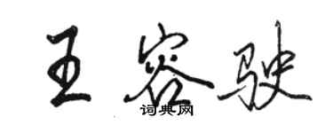 駱恆光王容駛行書個性簽名怎么寫