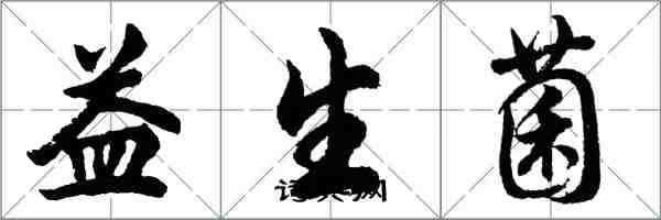 胡問遂益生菌行書怎么寫