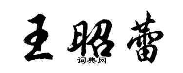 胡問遂王昭蕾行書個性簽名怎么寫