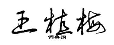曾慶福王植梅草書個性簽名怎么寫