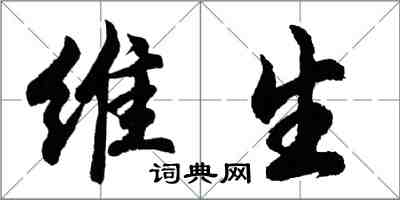 胡問遂維生行書怎么寫