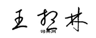 梁錦英王想林草書個性簽名怎么寫