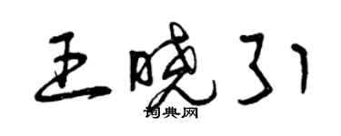 曾慶福王曉引草書個性簽名怎么寫