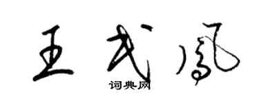 梁錦英王民鳳草書個性簽名怎么寫