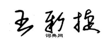 朱錫榮王新捷草書個性簽名怎么寫