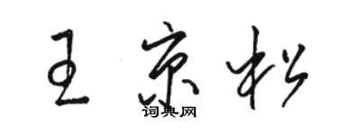 駱恆光王京松草書個性簽名怎么寫