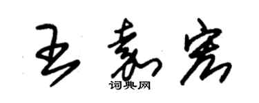 朱錫榮王嘉宏草書個性簽名怎么寫