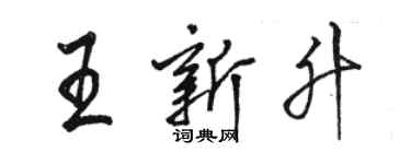 駱恆光王新升行書個性簽名怎么寫