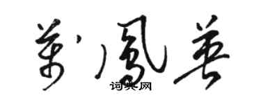 駱恆光萬鳳英草書個性簽名怎么寫