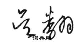 駱恆光吳翻草書個性簽名怎么寫