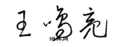 駱恆光王鳴亮草書個性簽名怎么寫