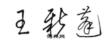 駱恆光王新蓬草書個性簽名怎么寫