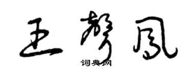 曾慶福王聲鳳草書個性簽名怎么寫