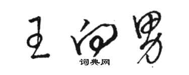 駱恆光王向男草書個性簽名怎么寫