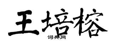 翁闓運王培榕楷書個性簽名怎么寫
