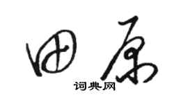 駱恆光田原草書個性簽名怎么寫