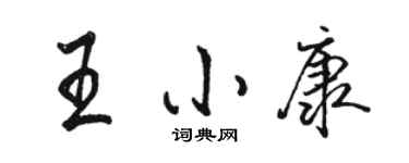 駱恆光王小康行書個性簽名怎么寫