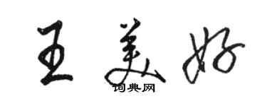 駱恆光王美好行書個性簽名怎么寫