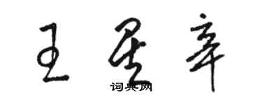 駱恆光王星辛草書個性簽名怎么寫