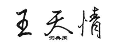 駱恆光王天情行書個性簽名怎么寫