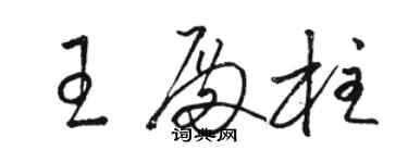 駱恆光王殿柱草書個性簽名怎么寫