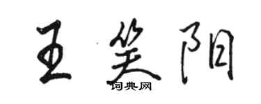 駱恆光王笑陽行書個性簽名怎么寫