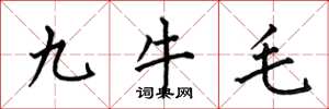 何伯昌九牛毛楷書怎么寫