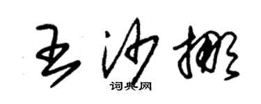 朱錫榮王沙挪草書個性簽名怎么寫