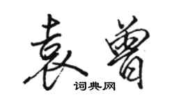 駱恆光袁曾行書個性簽名怎么寫