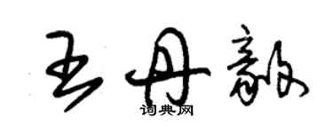 朱錫榮王丹毅草書個性簽名怎么寫