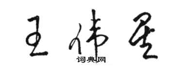 駱恆光王偉星草書個性簽名怎么寫